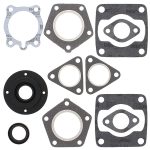 711070A | Gasket Set & Oil Seals Polaris