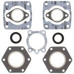 711071A | Gasket Set & Oil Seals Polaris