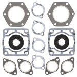 711074 | Gasket Set & Oil Seals Polaris