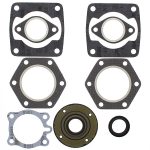 711075 | Gasket Set & Oil Seals Polaris