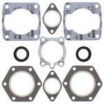 711075A | Gasket Set & Oil Seals Polaris