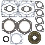 711077 | Gasket Set & Oil Seals Polaris