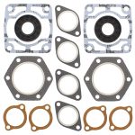 711078 | Gasket Set & Oil Seals Polaris