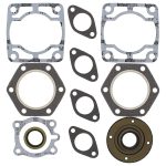 711081 | Gasket Set & Oil Seals Polaris