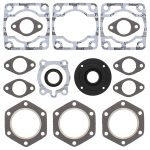 711081X | Gasket Set & Oil Seals