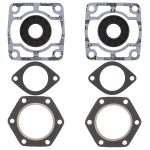 711082 | Gasket Set & Oil Seals Polaris