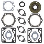 711083 | Gasket Set & Oil Seals Polaris