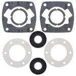 711094 | Gasket Set & Oil Seals Kohler