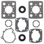 711098 | Complete Gasket Set With Oil Seals