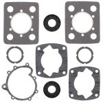 711099 | Gasket Set & Oil Seals Kohler