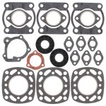 711109A | Complete Seal With Oil Seal Polaris Assembly
