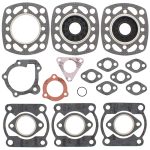 711110 | Gasket Set & Oil Seals Polaris