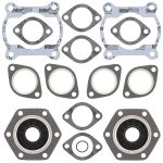 711110A | Gasket Set & Oil Seals Polaris