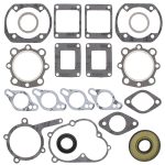 711114 | Gasket Set & Oil Seals Sno-Jet
