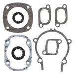 711119B | Gasket Set & Oil Seals Ski Doo