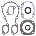 711119C | Gasket Set & Oil Seals Ski Doo