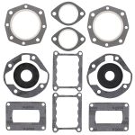 711152 | Gasket Set & Oil Seals