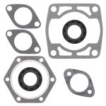 711153 | Gasket Set & Oil Seals