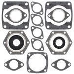 711156 | Gasket Set & Oil Seals