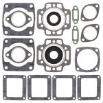 711159 | Gasket Set & Oil Seals Rupp