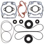 711163 | Gasket Set & Oil Seals Ski Doo/Moto-Ski
