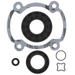 711164 | Gasket Set & Oil Seals Ski Doo