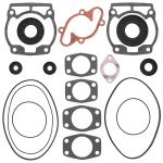 711165A | Gasket Set & Oil Seals Ski Doo