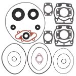 711165C | Gasket Set & Oil Seals Ski Doo