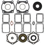 711167 | Gasket Set & Oil Seals Yamaha