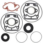 711170 | Gasket Set & Oil Seals Ski Doo