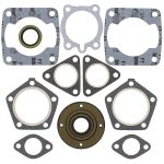 711174 | Gasket Set & Oil Seals Polaris