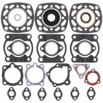 711175 | Gasket Set & Oil Seals Polaris