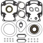 711180 | Gasket Set & Oil Seals Arctic Cat