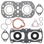 711185A | Complete Seal With Oil Seal Polaris Assembly