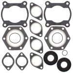 711186 | Gasket Set & Oil Seals Polaris