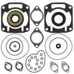 711188 | Gasket Set & Oil Seals Arctic Cat