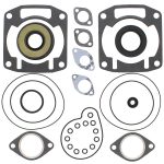 711189 | Gasket Set & Oil Seals Arctic Cat