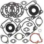 711192 | Gasket Set & Oil Seals Polaris