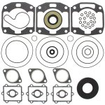 711193 | Gasket Set & Oil Seals Arctic Cat