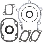 711195 | Gasket Set & Oil Seals Ski Doo