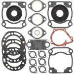 711199 | Gasket Set & Oil Seals Polaris