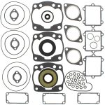 711216 | Gasket Set & Oil Seals Arctic Cat
