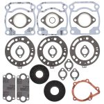 711218 | Gasket Set & Oil Seals Polaris