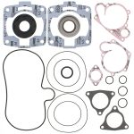 711230 | Gasket Set & Oil Seals Polaris
