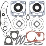 711251 | Gasket Set & Oil Seals Polaris