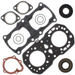 711253 | Gasket Set & Oil Seals Polaris