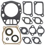 711263 | Gasket Set & Oil Seals Polaris