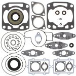 711273 | Gasket Set & Oil Seals Arctic Cat