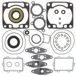 711275 | Gasket Set & Oil Seals Arctic Cat