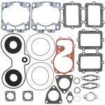 711280 | Complete Seal With Oil Seal Polaris Assembly